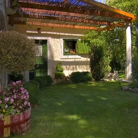Amazing In Slime, Rest For Mind, Body And Soul - Nature, Garden And Outside Swimming Pool * Slime